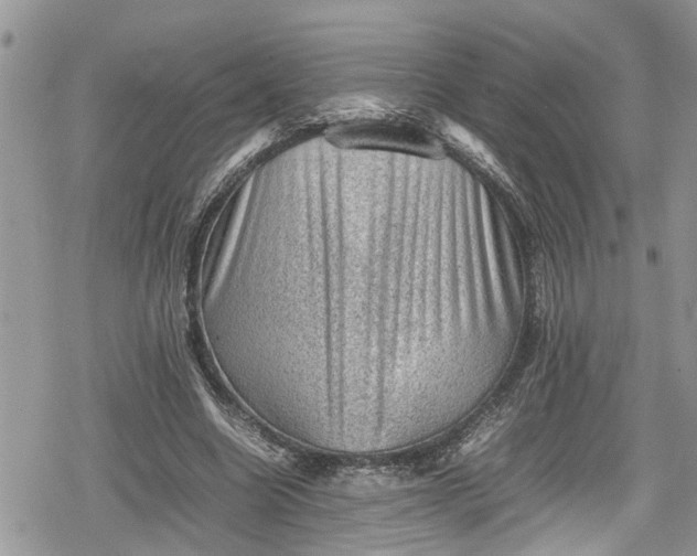 X0000078860538200611271414