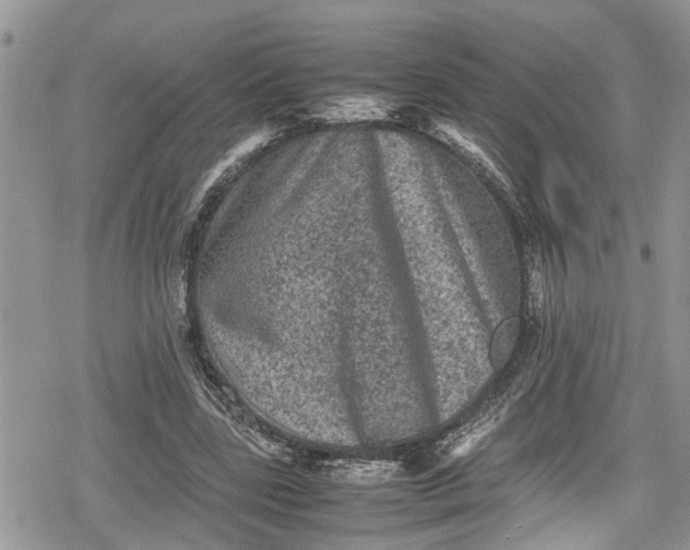 X0000078860539200611271414