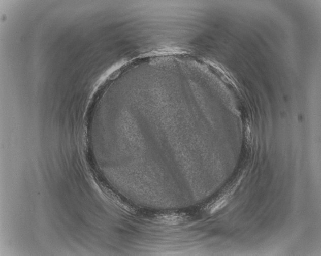 X0000078860540200611271414