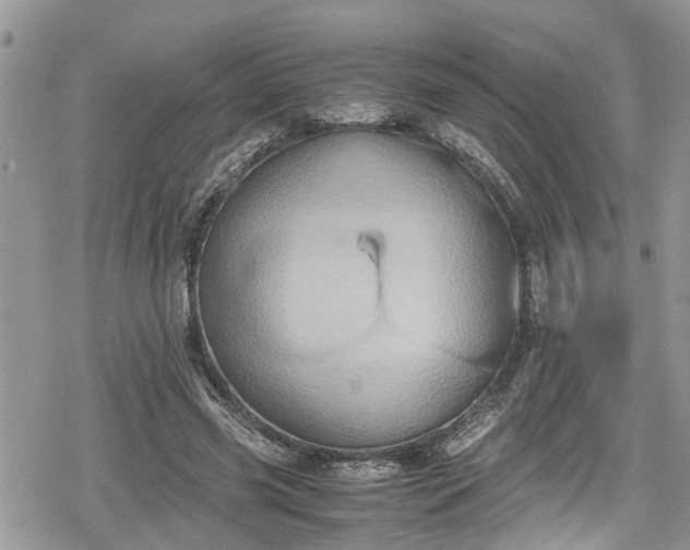 X0000078860541200611271414