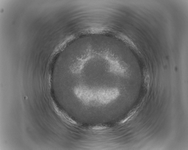 X0000078860542200611271414