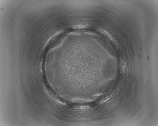 X0000078860543200611271414