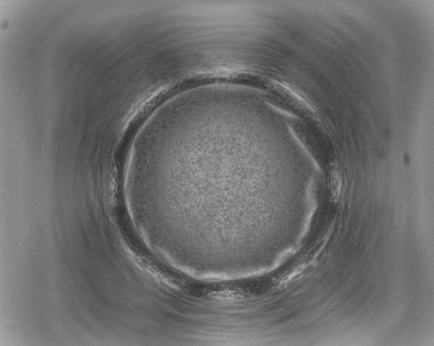 X0000078860544200611271414