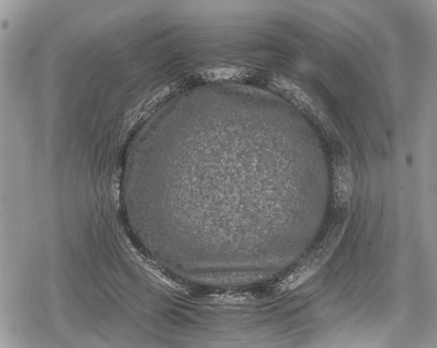 X0000078860545200611271414