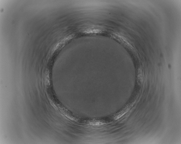 X0000078860547200611271414