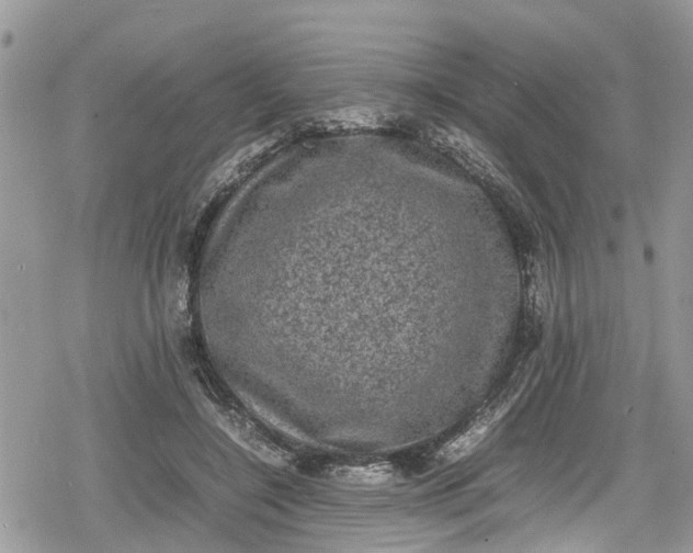 X0000078860548200611271414