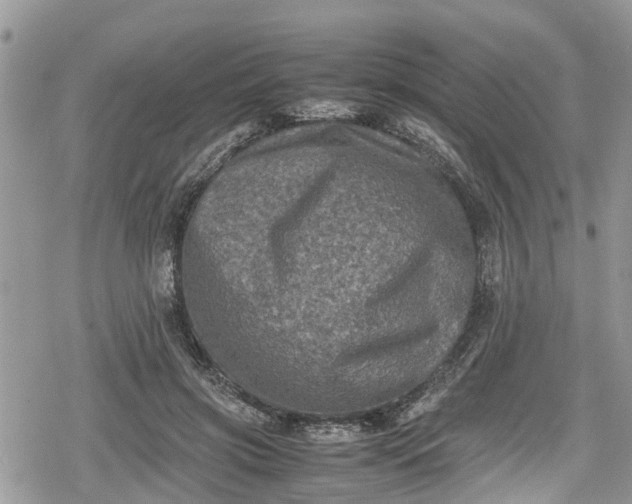 X0000078860549200611271414