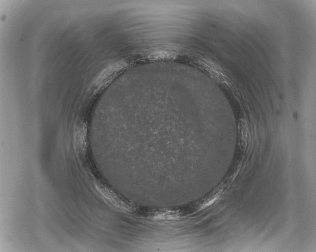 X0000078860550200611271414