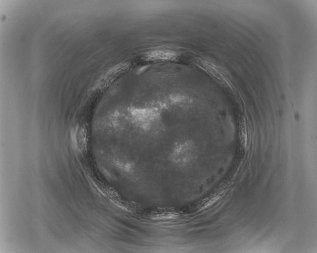 X0000078860551200611271414