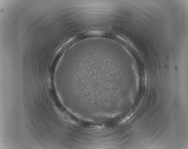 X0000078860552200611271414