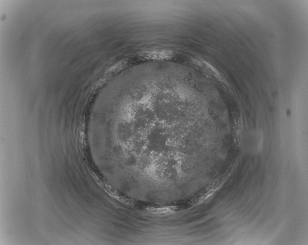 X0000078860553200611271414