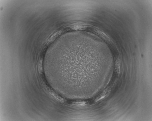 X0000078860554200611271414