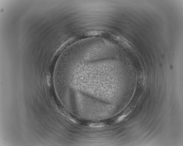 X0000078860556200611271414