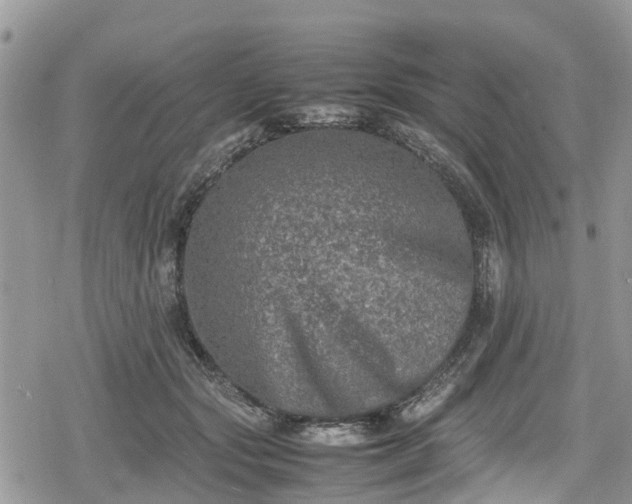 X0000078860557200611271414