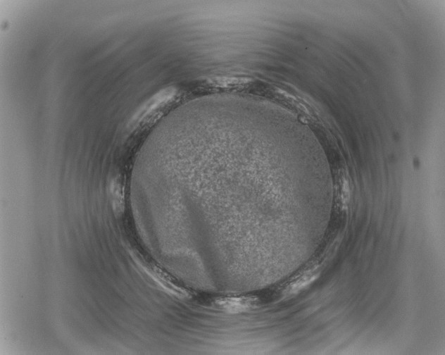 X0000078860558200611271414