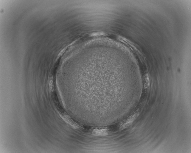 X0000078860560200611271414