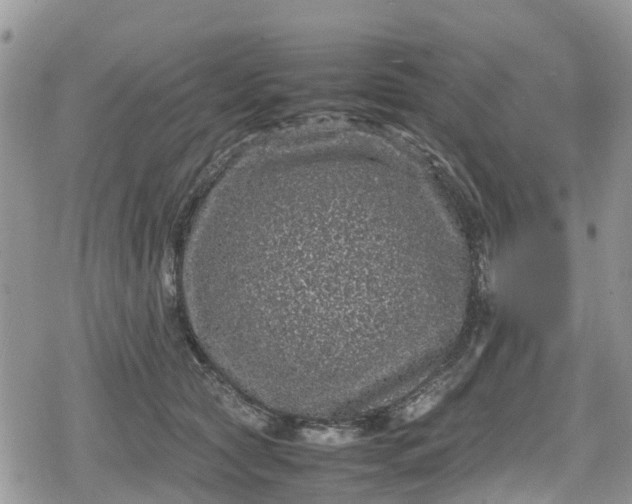 X0000078860561200611271414