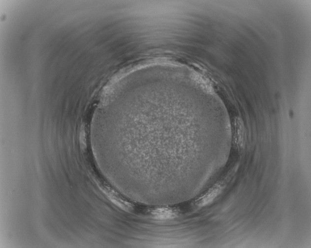 X0000078860562200611271414