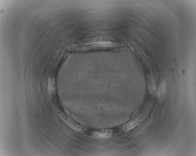 X0000078860563200611271414