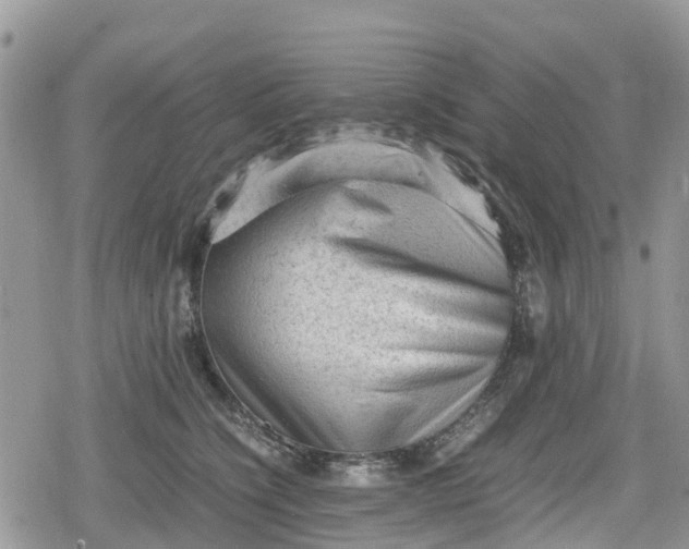 X0000078860564200611271414