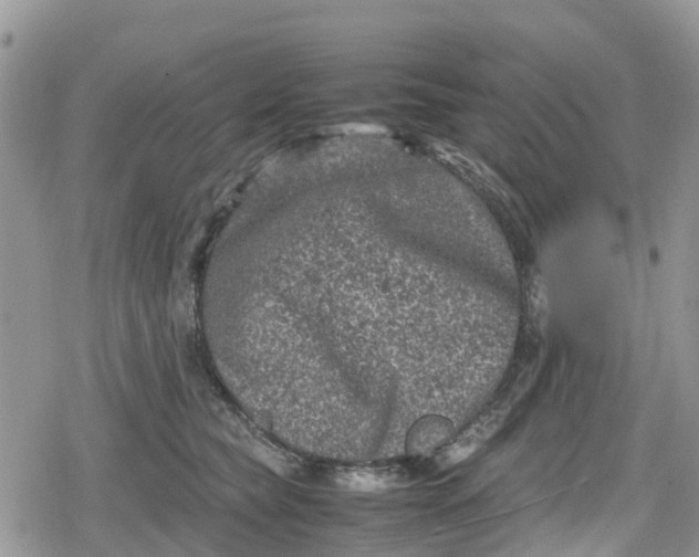 X0000078860565200611271415