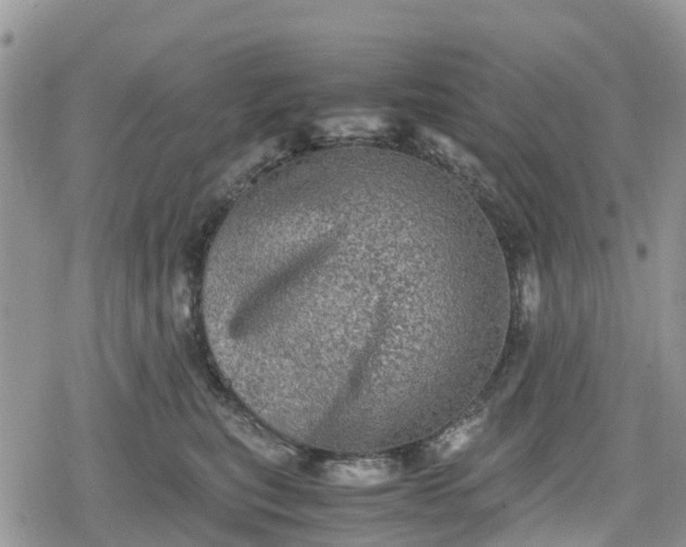 X0000078860567200611271415