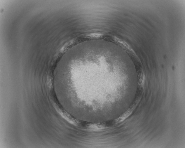 X0000078860568200611271415