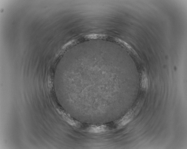 X0000078860569200611271415