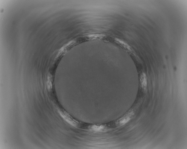 X0000078860570200611271415