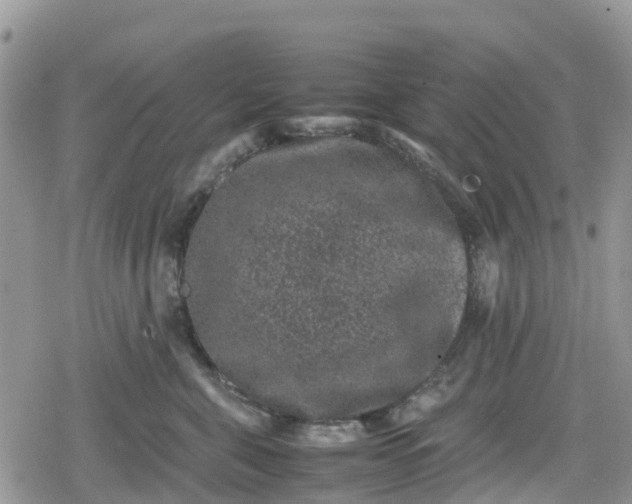 X0000078860571200611271415