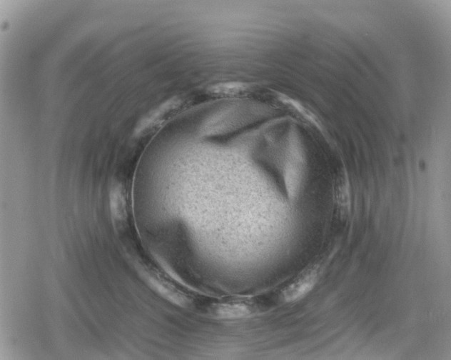 X0000078860572200611271415