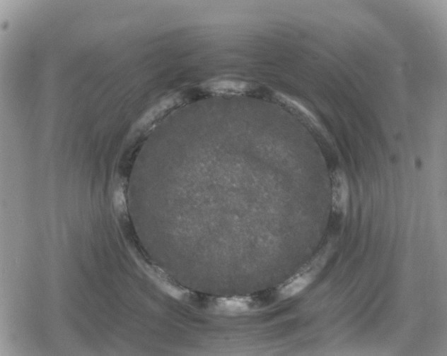 X0000078860573200611271415