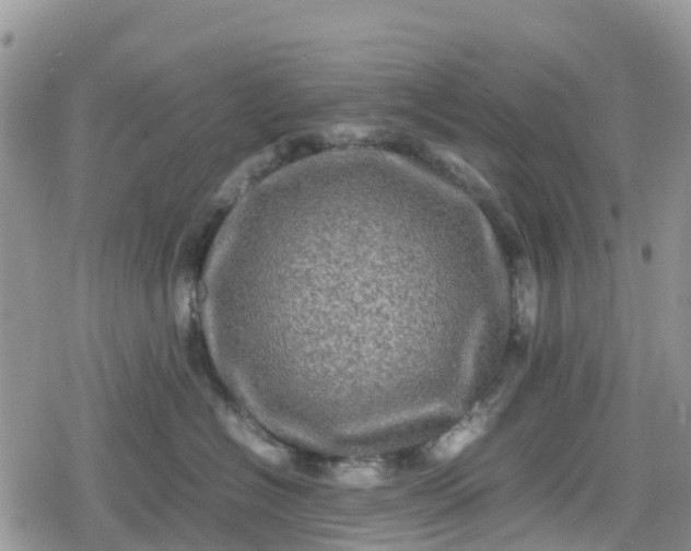 X0000078860574200611271415