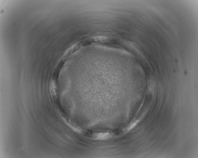 X0000078860575200611271415