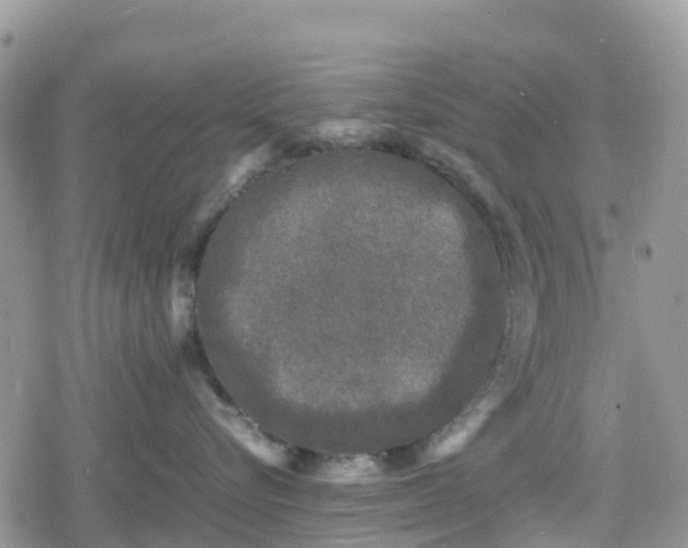 X0000078860576200611271415