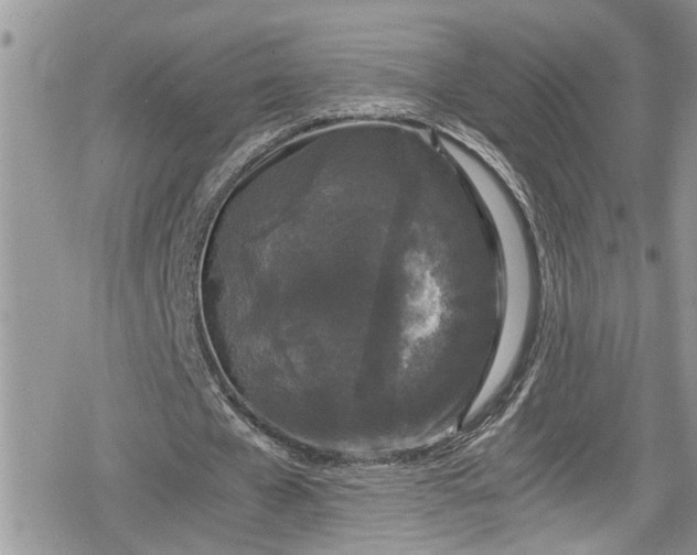 X0000078860577200611271414