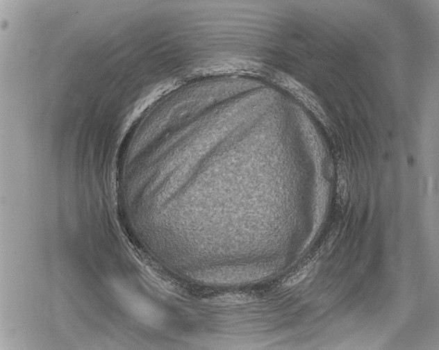 X0000078860578200611271414