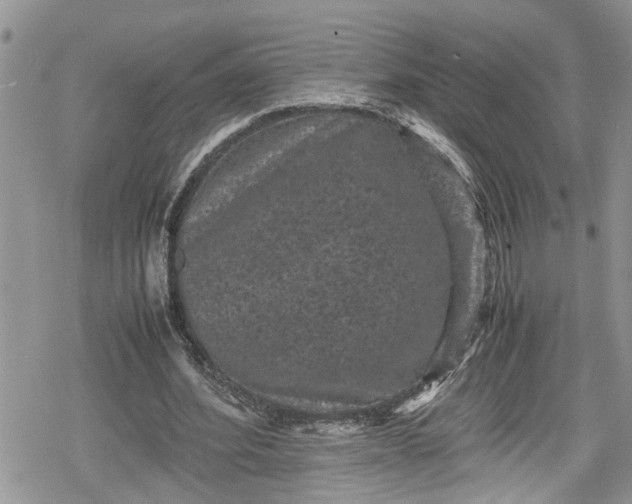 X0000078860580200611271414