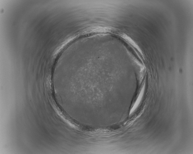 X0000078860581200611271414