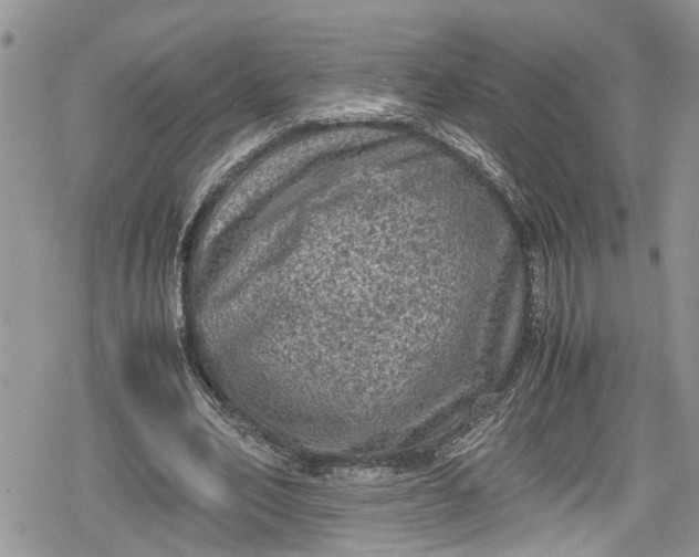 X0000078860582200611271414