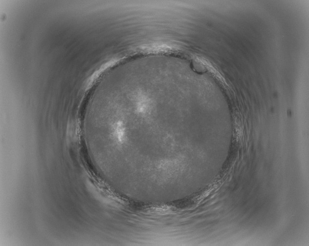 X0000078860583200611271414