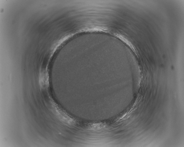 X0000078860584200611271414