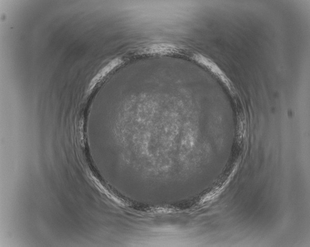 X0000078860585200611271414