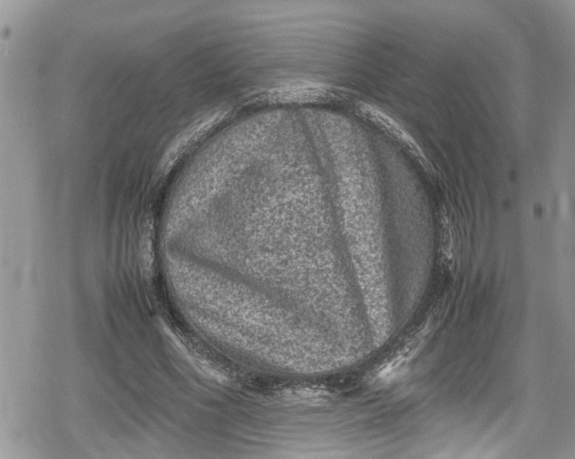 X0000078860586200611271414