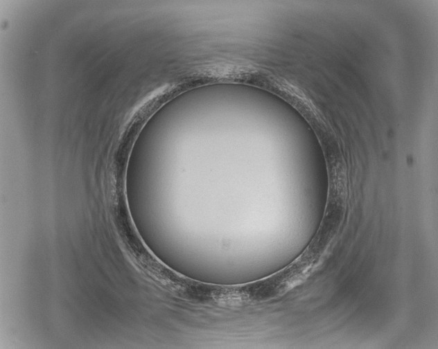 X0000078860587200611271414