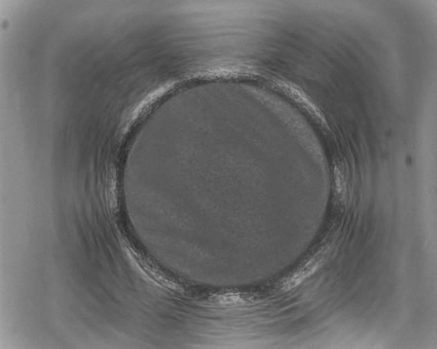 X0000078860588200611271414