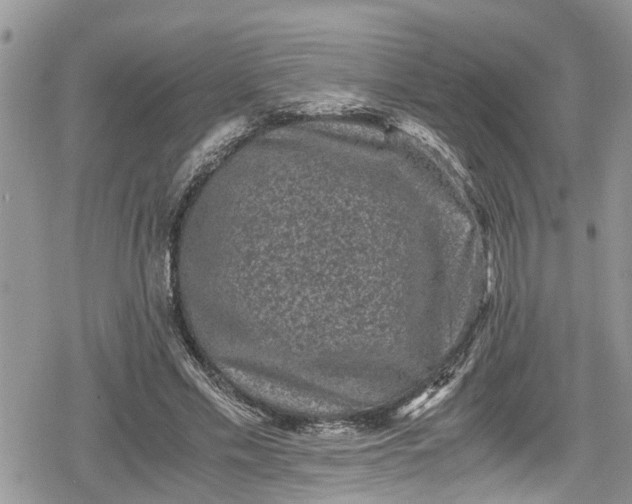 X0000078860589200611271414