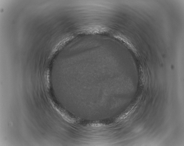 X0000078860590200611271414