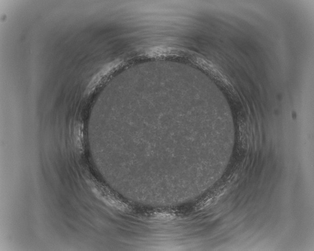 X0000078860592200611271414