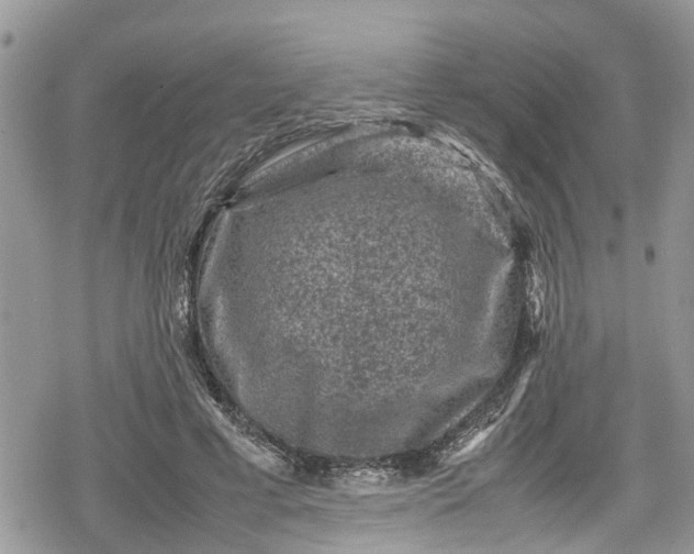 X0000078860593200611271414